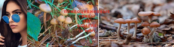 jwh Армянск