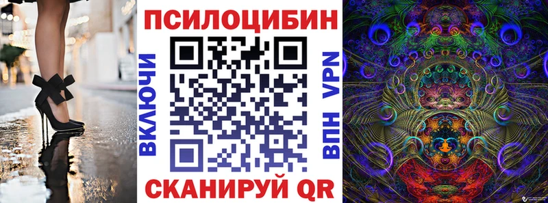 Псилоцибиновые грибы Cubensis  Нея 